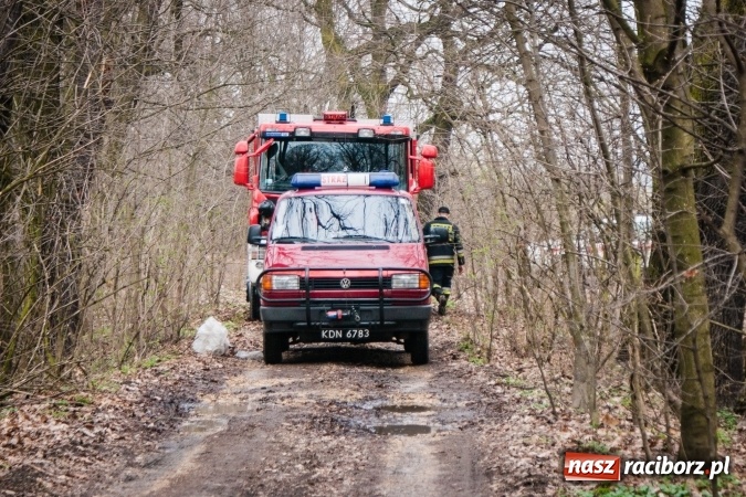 Zdjęcie w galerii na portalu naszraciborz.pl: Skandal w Markowicach. Olej napędowy z wywr&oacute;conej ciężar&oacute;wki zatruwał ciek wodny przy rezerwacie Łężczok! wiadomości z regionu