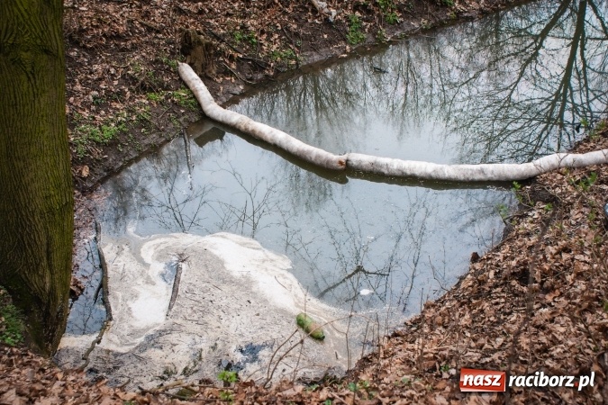 Zdjęcie w galerii na portalu naszraciborz.pl: Skandal w Markowicach. Olej napędowy z wywr&oacute;conej ciężar&oacute;wki zatruwał ciek wodny przy rezerwacie Łężczok! wiadomości z regionu
