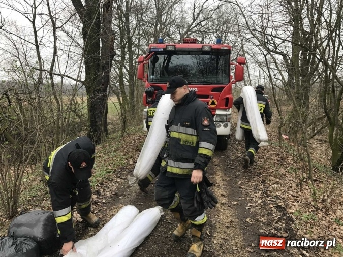 Zdjęcie w galerii na portalu naszraciborz.pl: Skandal w Markowicach. Olej napędowy z wywr&oacute;conej ciężar&oacute;wki zatruwał ciek wodny przy rezerwacie Łężczok! wiadomości z regionu