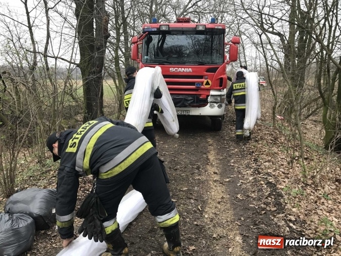 Zdjęcie w galerii na portalu naszraciborz.pl: Skandal w Markowicach. Olej napędowy z wywr&oacute;conej ciężar&oacute;wki zatruwał ciek wodny przy rezerwacie Łężczok! wiadomości z regionu