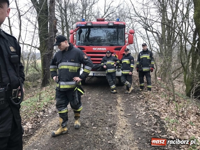 Zdjęcie w galerii na portalu naszraciborz.pl: Skandal w Markowicach. Olej napędowy z wywr&oacute;conej ciężar&oacute;wki zatruwał ciek wodny przy rezerwacie Łężczok! wiadomości z regionu