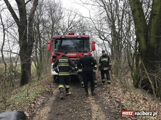 Zdjęcie w galerii na portalu naszraciborz.pl: Skandal w Markowicach. Olej napędowy z wywr&oacute;conej ciężar&oacute;wki zatruwał ciek wodny przy rezerwacie Łężczok! wiadomości z regionu