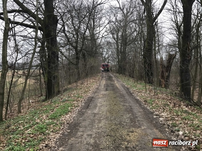 Zdjęcie w galerii na portalu naszraciborz.pl: Skandal w Markowicach. Olej napędowy z wywr&oacute;conej ciężar&oacute;wki zatruwał ciek wodny przy rezerwacie Łężczok! wiadomości z regionu