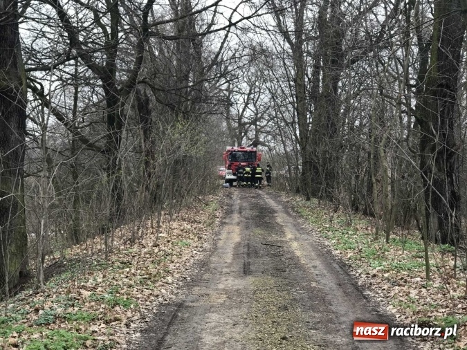 Zdjęcie w galerii na portalu naszraciborz.pl: Skandal w Markowicach. Olej napędowy z wywr&oacute;conej ciężar&oacute;wki zatruwał ciek wodny przy rezerwacie Łężczok! wiadomości z regionu