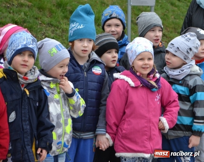 Zdjęcie w galerii na portalu naszraciborz.pl: Maluchy przegoniły zimę na dobre!  wiadomości z regionu