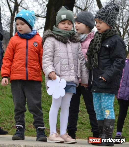 Zdjęcie w galerii na portalu naszraciborz.pl: Maluchy przegoniły zimę na dobre!  wiadomości z regionu