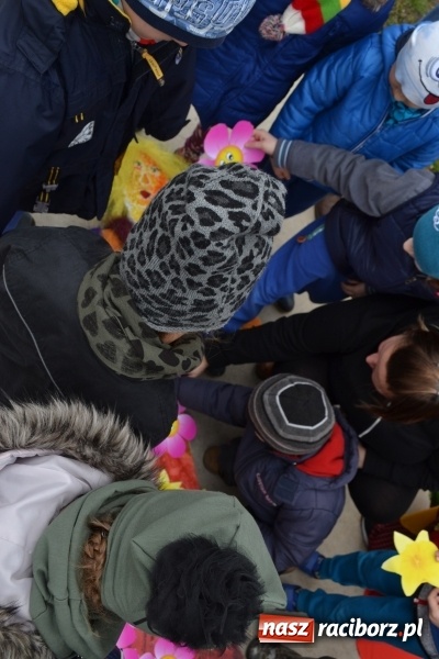 Zdjęcie w galerii na portalu naszraciborz.pl: Maluchy przegoniły zimę na dobre!  wiadomości z regionu