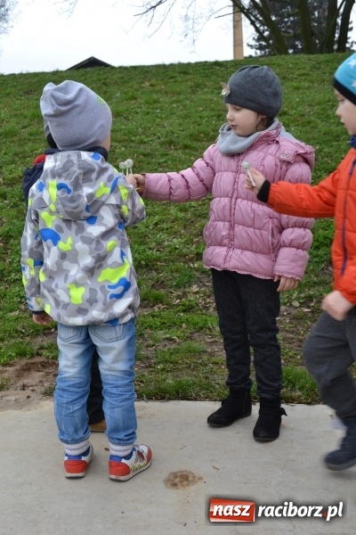 Zdjęcie w galerii na portalu naszraciborz.pl: Maluchy przegoniły zimę na dobre!  wiadomości z regionu