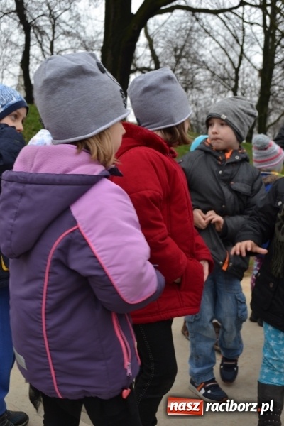 Zdjęcie w galerii na portalu naszraciborz.pl: Maluchy przegoniły zimę na dobre!  wiadomości z regionu