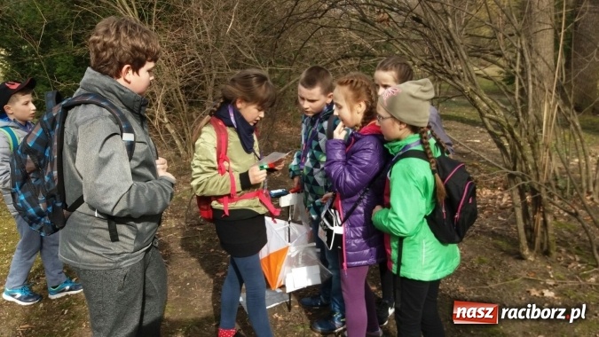 Zdjęcie w galerii na portalu naszraciborz.pl: Dobry wynik Sercomaniaków z SP 1 wśród kreatywnych z całego świata w projekcie Destination Imagination  wiadomości z regionu