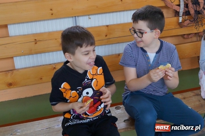 Zdjęcie w galerii na portalu naszraciborz.pl: Mała Strzecha z RCK na warsztatach tanecznych wiadomości z regionu