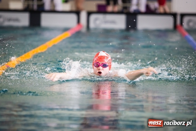 Zdjęcie w galerii na portalu naszraciborz.pl: Międzywojewódzkie Drużynowe Mistrzostwa Młodzików do lat 13 na pływalni ZSOMS wiadomości z regionu