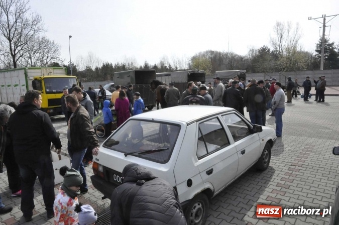 Zdjęcie w galerii na portalu naszraciborz.pl: Pietrowicka giełda staroci rośnie w siłę wiadomości z regionu