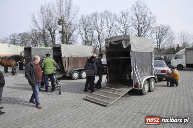 Zdjęcie w galerii na portalu naszraciborz.pl: Pietrowicka giełda staroci rośnie w siłę wiadomości z regionu
