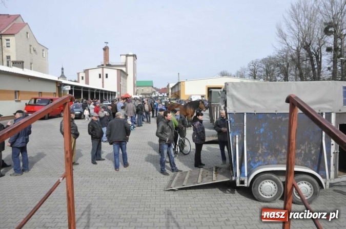 Zdjęcie w galerii na portalu naszraciborz.pl: Pietrowicka giełda staroci rośnie w siłę wiadomości z regionu