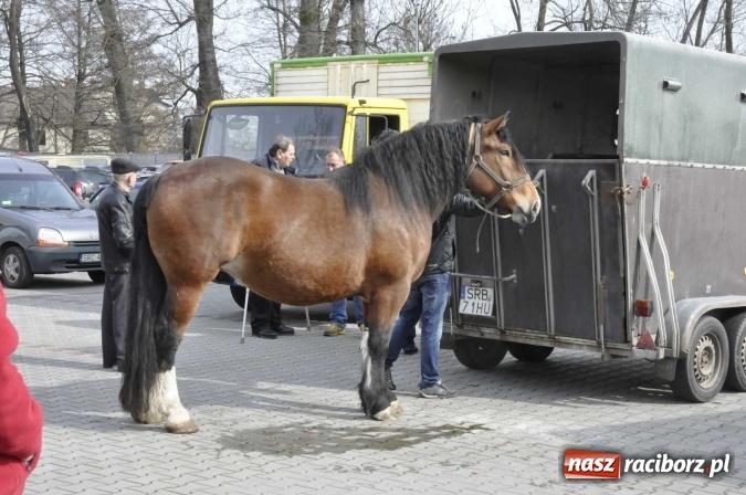 Zdjęcie w galerii na portalu naszraciborz.pl: Pietrowicka giełda staroci rośnie w siłę wiadomości z regionu