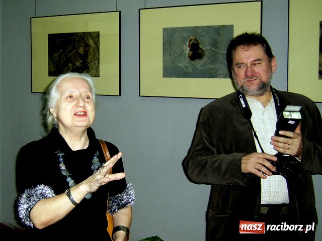 Zdjęcie w galerii na portalu naszraciborz.pl: Żabi seks, czyli powitanie wiosny wiadomości z regionu