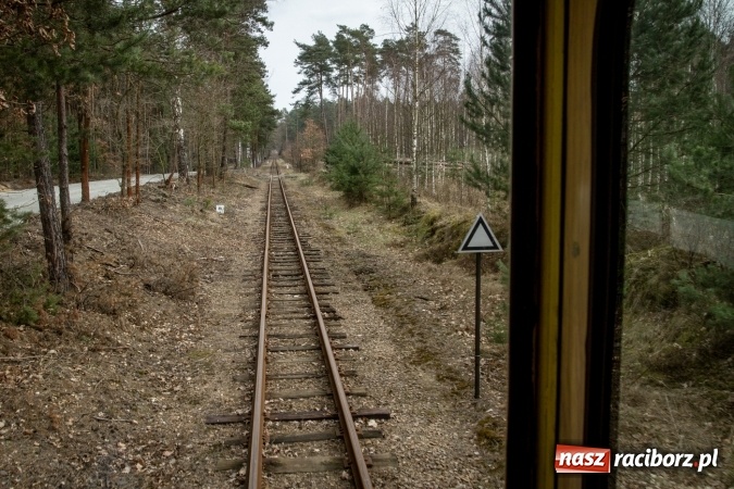 Zdjęcie w galerii na portalu naszraciborz.pl: Rudzka wąskotor&oacute;wka przywitała wiosnę wiadomości z regionu