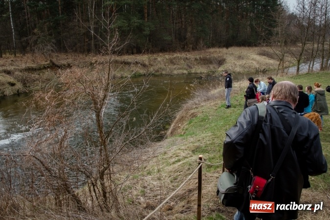 Zdjęcie w galerii na portalu naszraciborz.pl: Rudzka wąskotor&oacute;wka przywitała wiosnę wiadomości z regionu