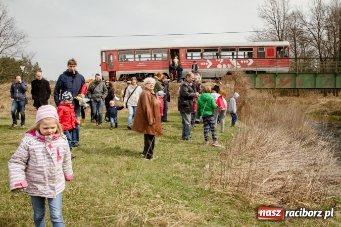 Zdjęcie w galerii na portalu naszraciborz.pl: Rudzka wąskotor&oacute;wka przywitała wiosnę wiadomości z regionu