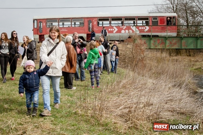 Zdjęcie w galerii na portalu naszraciborz.pl: Rudzka wąskotor&oacute;wka przywitała wiosnę wiadomości z regionu