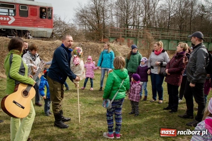 Zdjęcie w galerii na portalu naszraciborz.pl: Rudzka wąskotor&oacute;wka przywitała wiosnę wiadomości z regionu