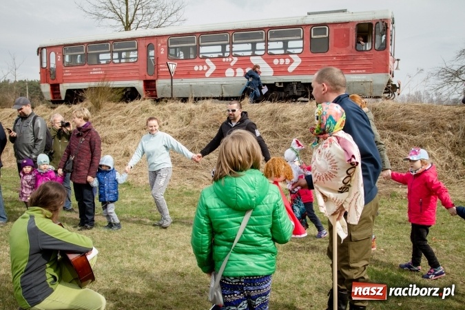 Zdjęcie w galerii na portalu naszraciborz.pl: Rudzka wąskotor&oacute;wka przywitała wiosnę wiadomości z regionu
