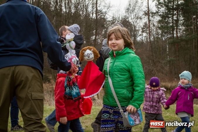 Zdjęcie w galerii na portalu naszraciborz.pl: Rudzka wąskotor&oacute;wka przywitała wiosnę wiadomości z regionu