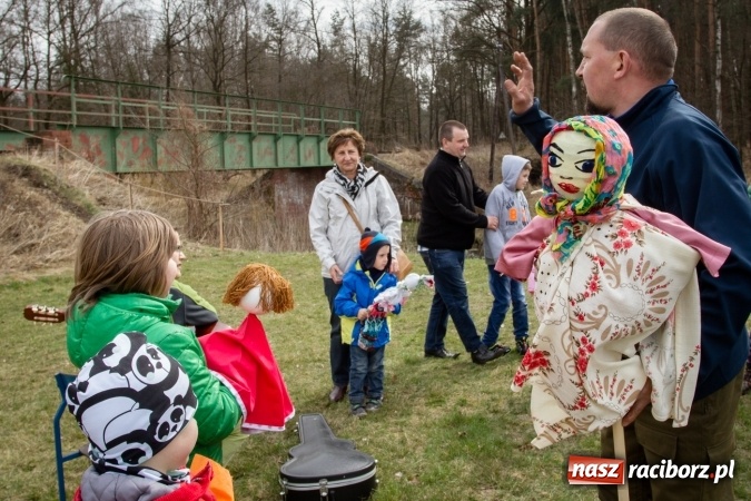 Zdjęcie w galerii na portalu naszraciborz.pl: Rudzka wąskotor&oacute;wka przywitała wiosnę wiadomości z regionu