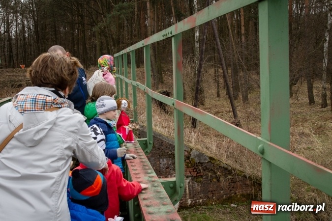 Zdjęcie w galerii na portalu naszraciborz.pl: Rudzka wąskotor&oacute;wka przywitała wiosnę wiadomości z regionu