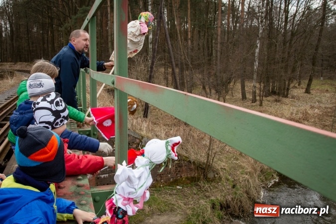 Zdjęcie w galerii na portalu naszraciborz.pl: Rudzka wąskotor&oacute;wka przywitała wiosnę wiadomości z regionu