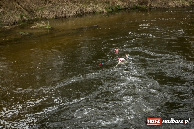 Zdjęcie w galerii na portalu naszraciborz.pl: Rudzka wąskotor&oacute;wka przywitała wiosnę wiadomości z regionu
