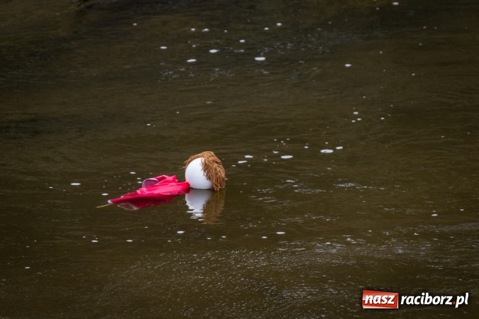 Zdjęcie w galerii na portalu naszraciborz.pl: Rudzka wąskotor&oacute;wka przywitała wiosnę wiadomości z regionu