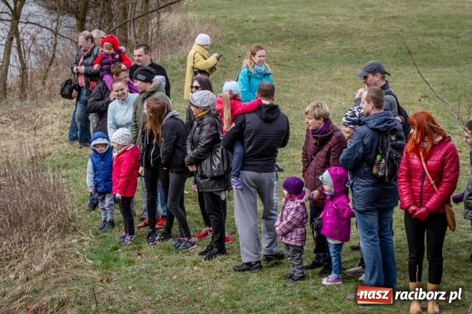 Zdjęcie w galerii na portalu naszraciborz.pl: Rudzka wąskotor&oacute;wka przywitała wiosnę wiadomości z regionu