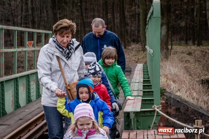 Zdjęcie w galerii na portalu naszraciborz.pl: Rudzka wąskotor&oacute;wka przywitała wiosnę wiadomości z regionu