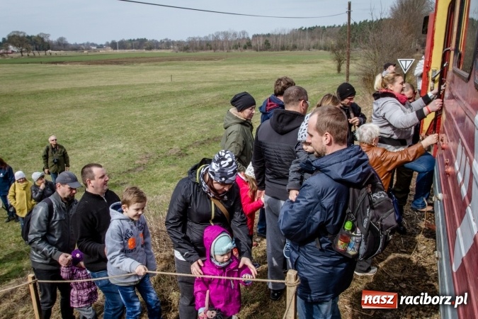 Zdjęcie w galerii na portalu naszraciborz.pl: Rudzka wąskotor&oacute;wka przywitała wiosnę wiadomości z regionu