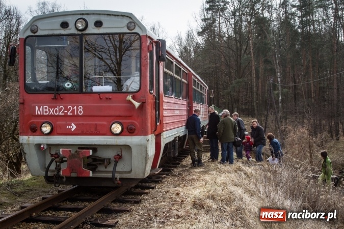 Zdjęcie w galerii na portalu naszraciborz.pl: Rudzka wąskotor&oacute;wka przywitała wiosnę wiadomości z regionu