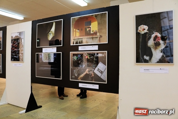Zdjęcie w galerii na portalu naszraciborz.pl: Kolejny sukces Fotonu. Prace student&oacute;w na XIV Rybnickim Festiwalu Fotografii wiadomości z regionu