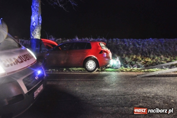 Zdjęcie w galerii na portalu naszraciborz.pl: Golf uderzył w drzewo na trasie Krowiarki-Tłustomosty wiadomości z regionu