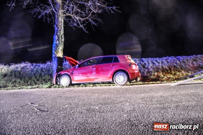 Zdjęcie w galerii na portalu naszraciborz.pl: Golf uderzył w drzewo na trasie Krowiarki-Tłustomosty wiadomości z regionu