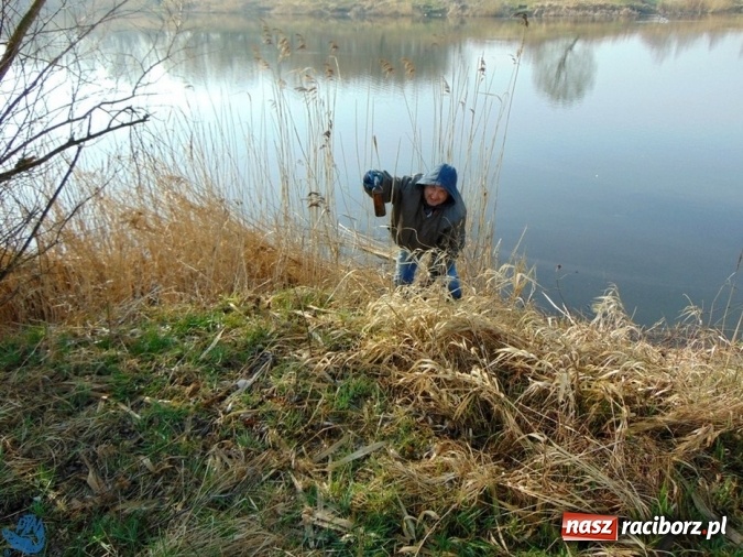 Zdjęcie w galerii na portalu naszraciborz.pl: Wędkarze z Koła Racibórz-Miasto sprzątali łowiska na Ostrogu wiadomości z regionu