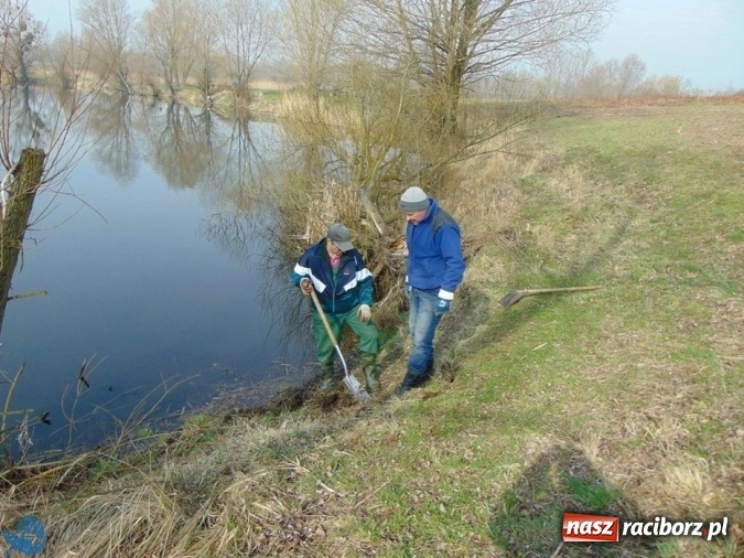 Zdjęcie w galerii na portalu naszraciborz.pl: Wędkarze z Koła Racibórz-Miasto sprzątali łowiska na Ostrogu wiadomości z regionu
