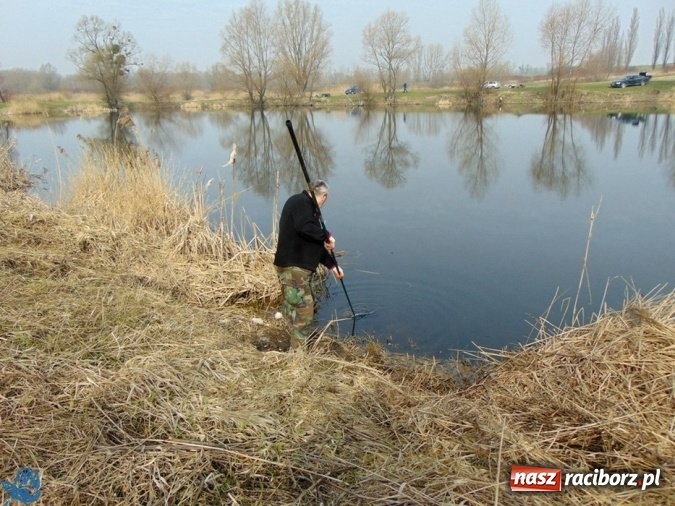 Zdjęcie w galerii na portalu naszraciborz.pl: Wędkarze z Koła Racibórz-Miasto sprzątali łowiska na Ostrogu wiadomości z regionu