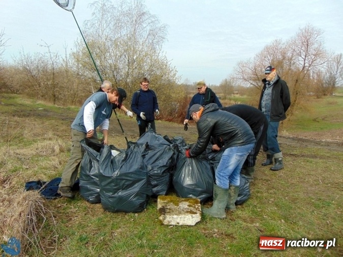 Zdjęcie w galerii na portalu naszraciborz.pl: Wędkarze z Koła Racibórz-Miasto sprzątali łowiska na Ostrogu wiadomości z regionu