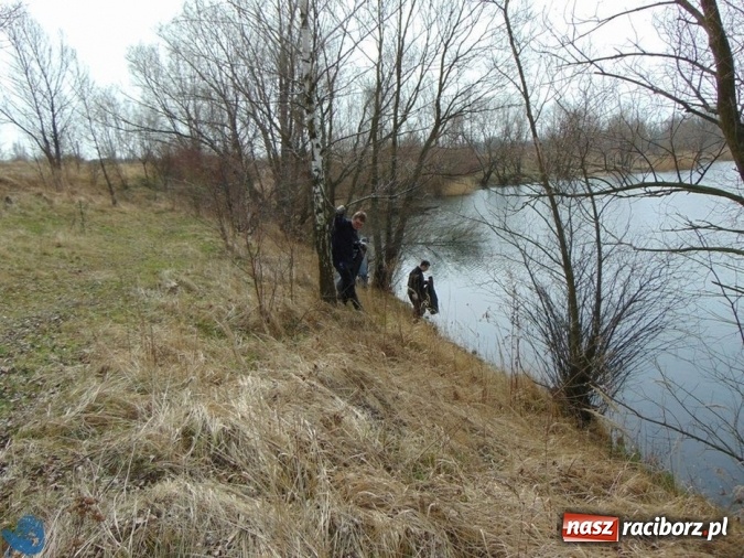 Zdjęcie w galerii na portalu naszraciborz.pl: Wędkarze z Koła Racibórz-Miasto sprzątali łowiska na Ostrogu wiadomości z regionu