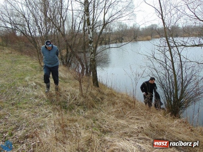Zdjęcie w galerii na portalu naszraciborz.pl: Wędkarze z Koła Racibórz-Miasto sprzątali łowiska na Ostrogu wiadomości z regionu