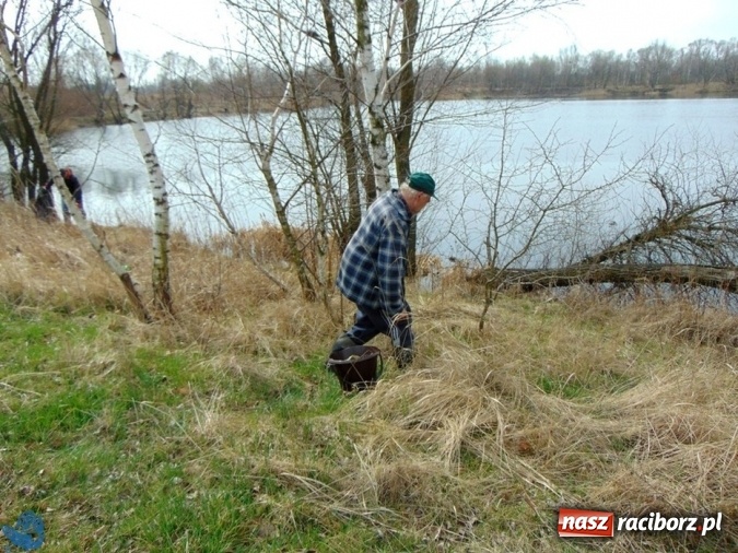 Zdjęcie w galerii na portalu naszraciborz.pl: Wędkarze z Koła Racibórz-Miasto sprzątali łowiska na Ostrogu wiadomości z regionu