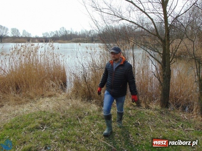 Zdjęcie w galerii na portalu naszraciborz.pl: Wędkarze z Koła Racibórz-Miasto sprzątali łowiska na Ostrogu wiadomości z regionu
