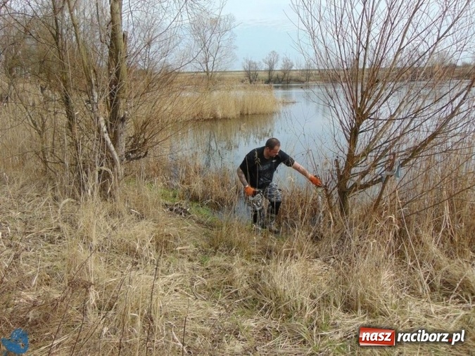 Zdjęcie w galerii na portalu naszraciborz.pl: Wędkarze z Koła Racibórz-Miasto sprzątali łowiska na Ostrogu wiadomości z regionu