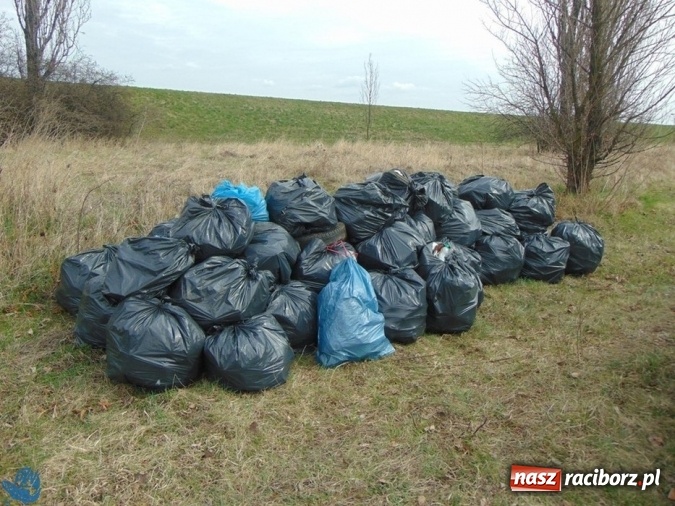 Zdjęcie w galerii na portalu naszraciborz.pl: Wędkarze z Koła Racibórz-Miasto sprzątali łowiska na Ostrogu wiadomości z regionu